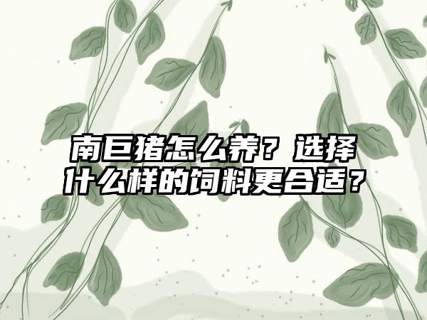 南巨猪怎么养？选择什么样的饲料更合适？