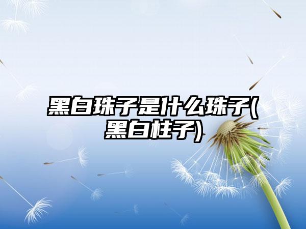 黑白珠子是什么珠子(黑白柱子)