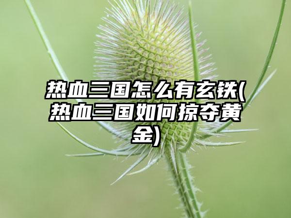 热血三国怎么有玄铁(热血三国如何掠夺黄金)