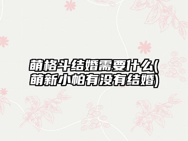 萌格斗结婚需要什么(萌新小帕有没有结婚)