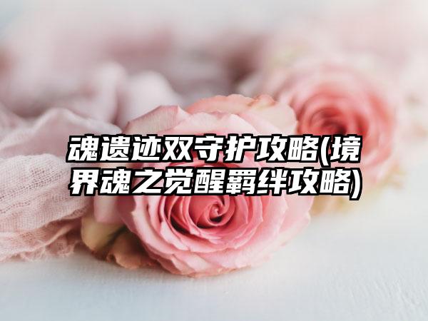 魂遗迹双守护攻略(境界魂之觉醒羁绊攻略)