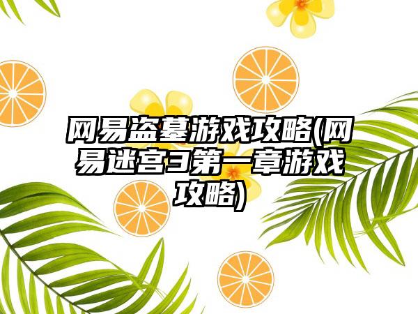 网易盗墓游戏攻略(网易迷宫3第一章游戏攻略)