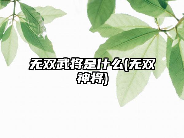 无双武将是什么(无双神将)