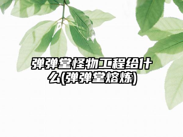 弹弹堂怪物工程给什么(弹弹堂熔炼)