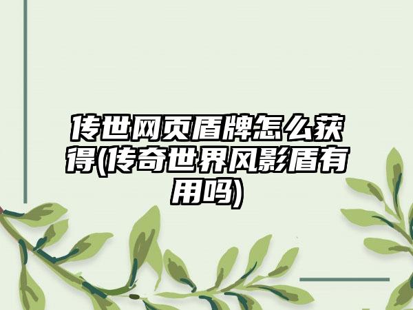 传世网页盾牌怎么获得(传奇世界风影盾有用吗)