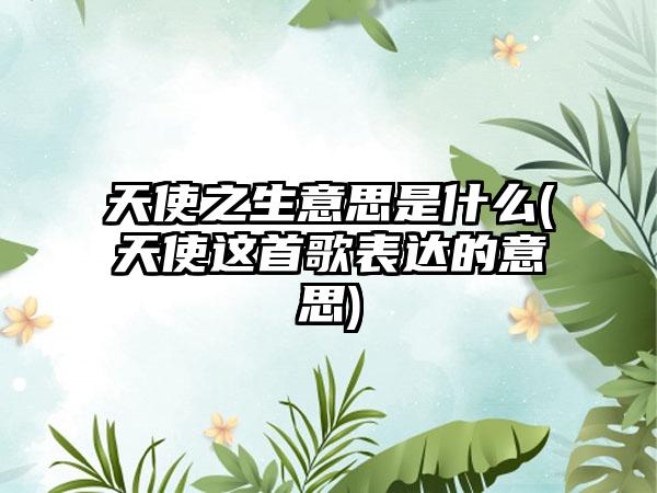 天使之生意思是什么(天使这首歌表达的意思)