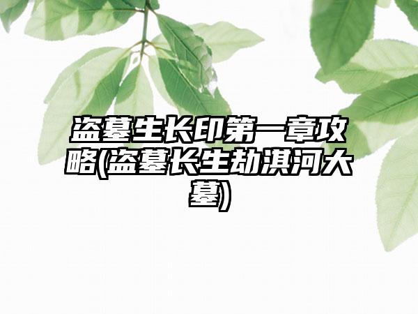 盗墓生长印第一章攻略(盗墓长生劫淇河大墓)