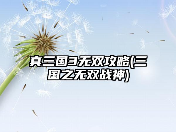 真三国3无双攻略(三国之无双战神)