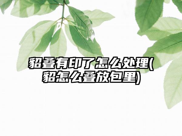 貂叠有印了怎么处理(貂怎么叠放包里)