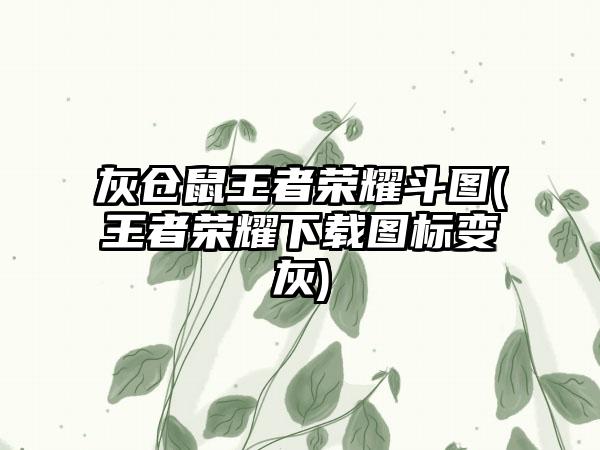 灰仓鼠王者荣耀斗图(王者荣耀下载图标变灰)