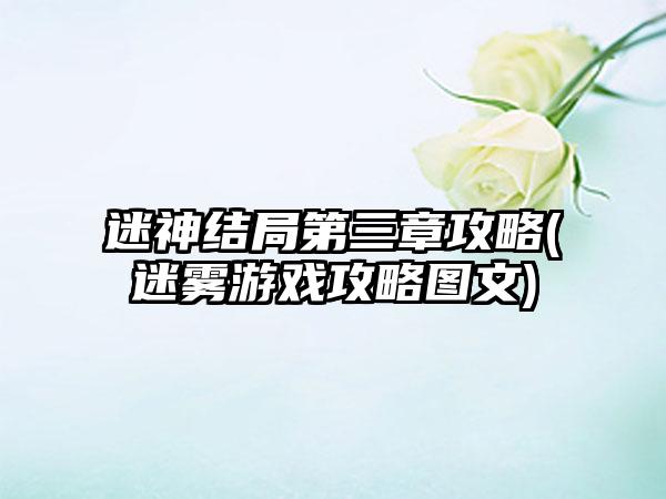 迷神结局第三章攻略(迷雾游戏攻略图文)