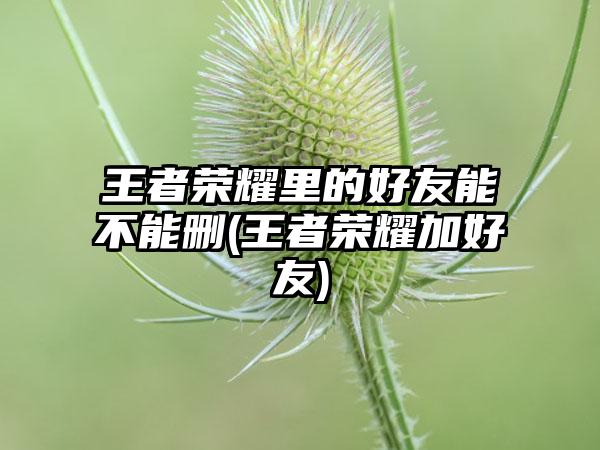 王者荣耀里的好友能不能删(王者荣耀加好友)