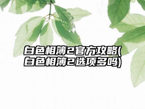 白色相簿2官方攻略(白色相簿2选项多吗)