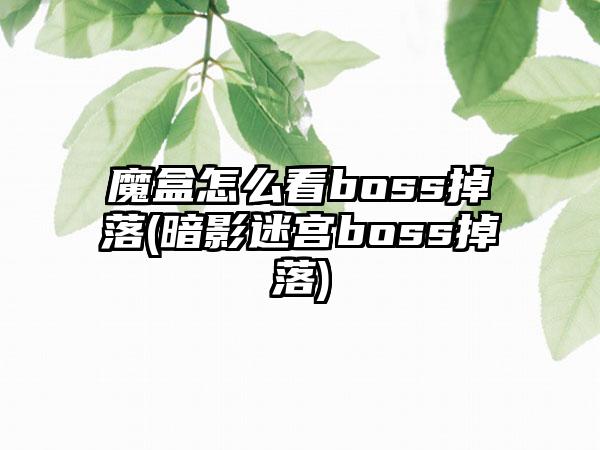 魔盒怎么看boss掉落(暗影迷宫boss掉落)