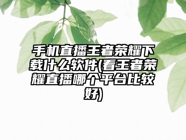 手机直播王者荣耀下载什么软件(看王者荣耀直播哪个平台比较好)