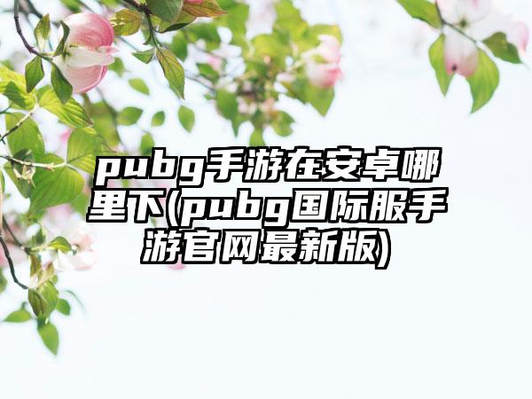 pubg手游在安卓哪里下(pubg国际服手游欧洲杯投注官网最新版)