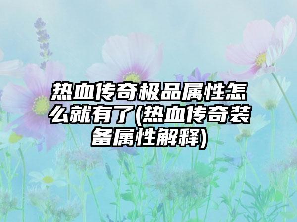 热血传奇极品属性怎么就有了(热血传奇装备属性解释)