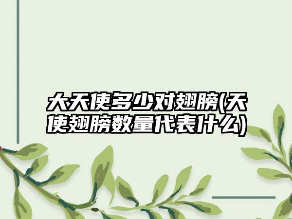 大天使多少对翅膀(天使翅膀数量代表什么)